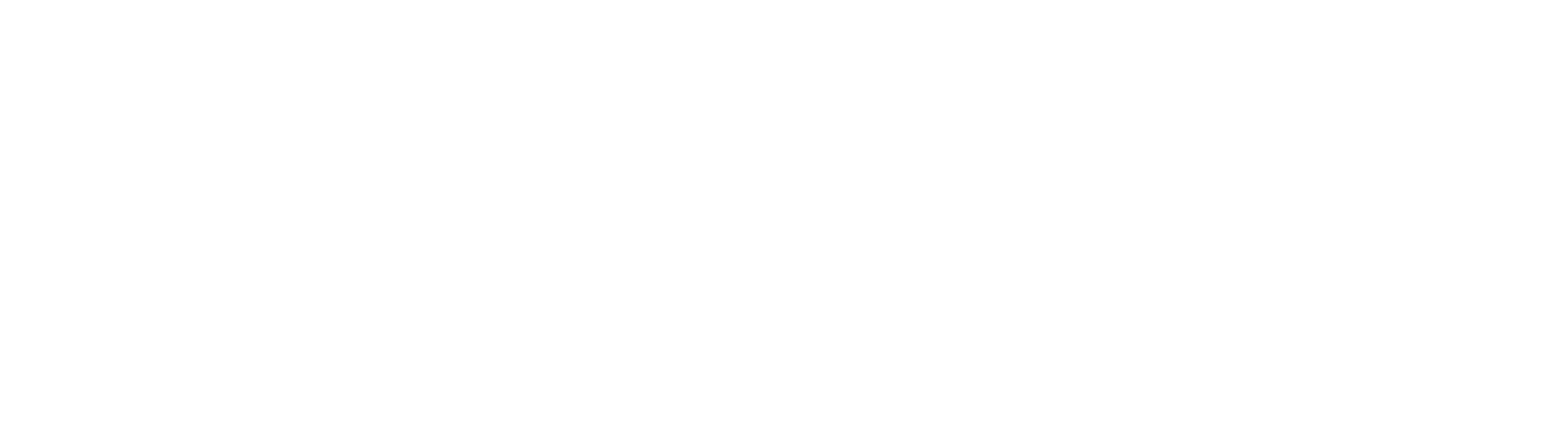 Schneider Website Logo White